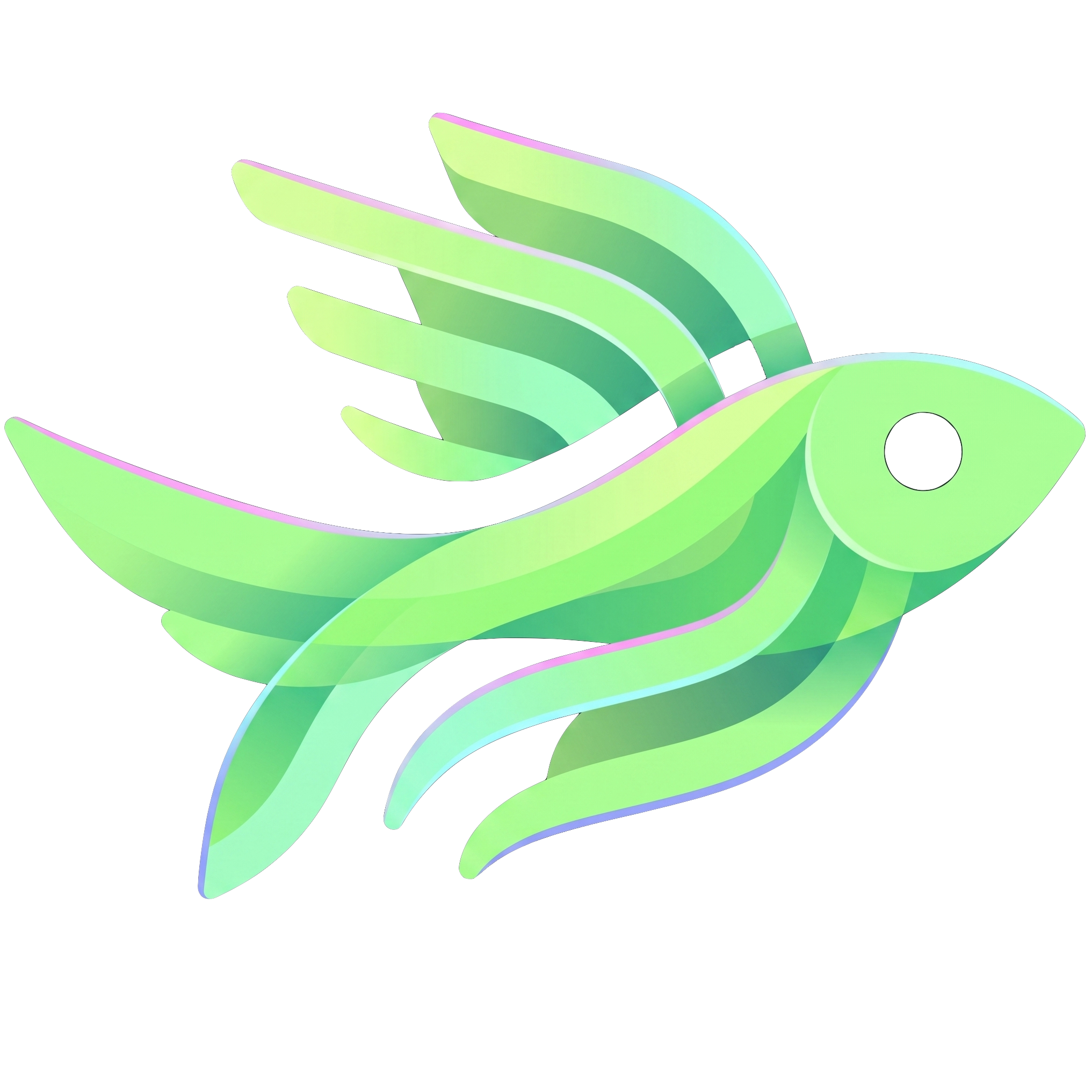 Flying Fish Web Design